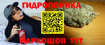 ешки Шебекино