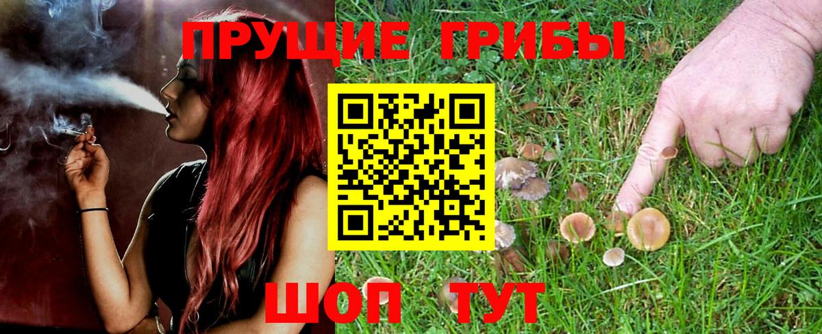 Скопин  Псилоцибиновые грибы Psilocybe  Вход с VPN  Псилоцибиновые грибы мухоморы 